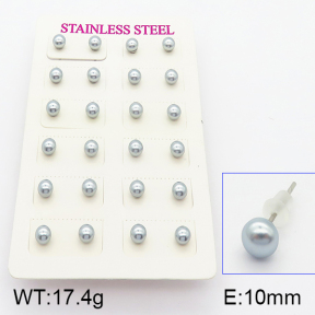 Stainless Steel Earrings  5E3000367vbpb-718
