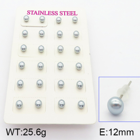 Stainless Steel Earrings  5E3000368bhva-718