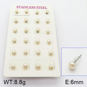 Stainless Steel Earrings  5E3000369vbnb-718