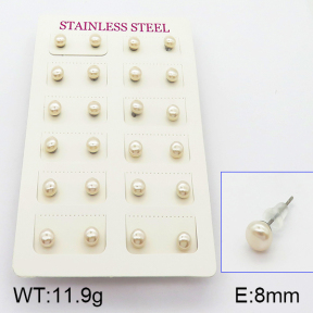 Stainless Steel Earrings  5E3000370bbov-718
