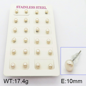 Stainless Steel Earrings  5E3000371vbpb-718