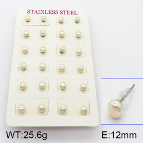 Stainless Steel Earrings  5E3000372bhva-718