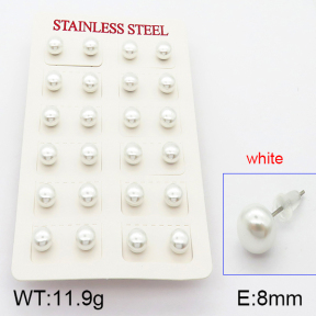 Stainless Steel Earrings  5E3000374bbov-718