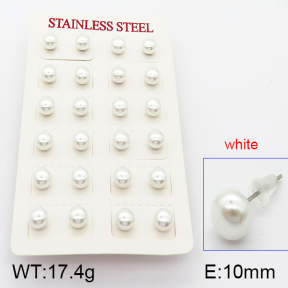 Stainless Steel Earrings  5E3000375vbpb-718