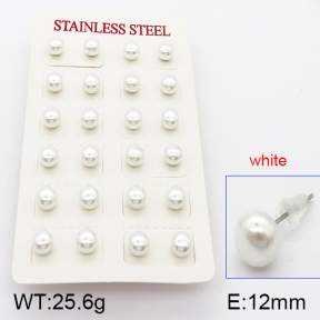 Stainless Steel Earrings  5E3000376bhva-718