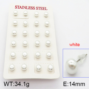 Stainless Steel Earrings  5E3000377bhia-718