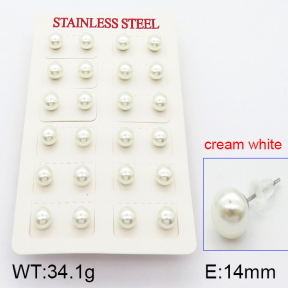 Stainless Steel Earrings  5E3000382bhia-718