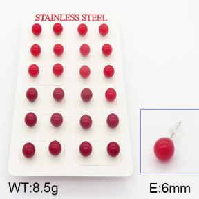 Stainless Steel Earrings  5E3000398vbmb-718