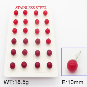 Stainless Steel Earrings  5E3000400bbov-718