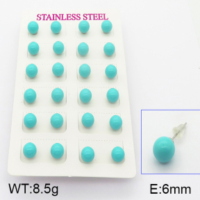 Stainless Steel Earrings  5E3000401vbmb-718