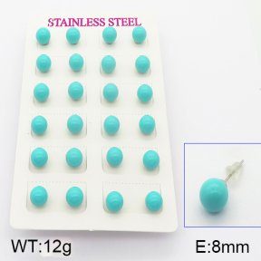 Stainless Steel Earrings  5E3000402vbnb-718