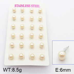 Stainless Steel Earrings  5E3000413vbmb-718