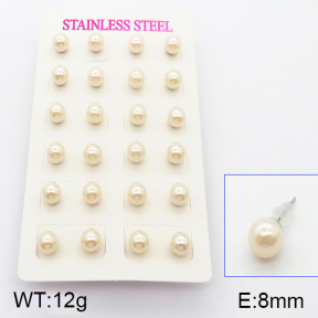 Stainless Steel Earrings  5E3000414vbnb-718