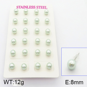 Stainless Steel Earrings  5E3000420vbnb-718