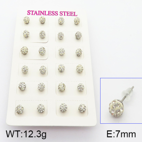 Stainless Steel Earrings  5E3000425abol-718