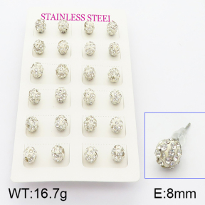 Stainless Steel Earrings  5E3000426abol-718