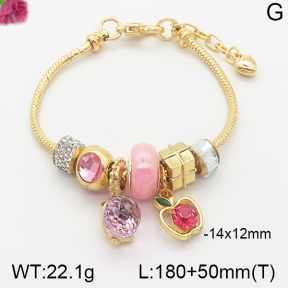 Fashion Bracelet  F5B400923bhia-J54