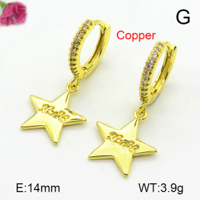 Fashion Copper Earrings  F7E400693vbnb-L024