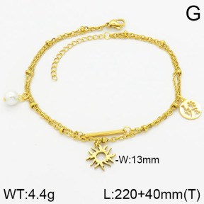 Stainless Steel Anklets  2A9000446vbmb-610