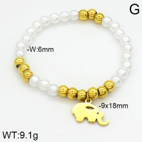 Stainless Steel Bracelet  2B3000612vbpb-610