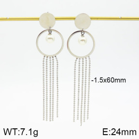 Stainless Steel Earrings  2E3000597vbnl-712