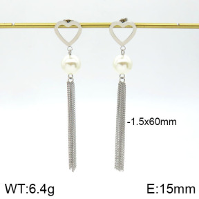 Stainless Steel Earrings  2E3000598vbnb-712