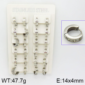 Stainless Steel Earrings  2E4000919ajvb-355