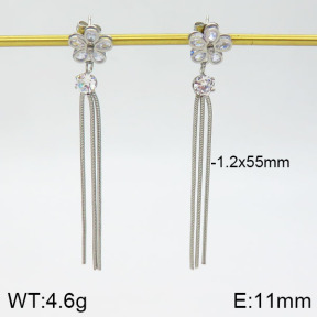 Stainless Steel Earrings  2E4000921vbnb-712