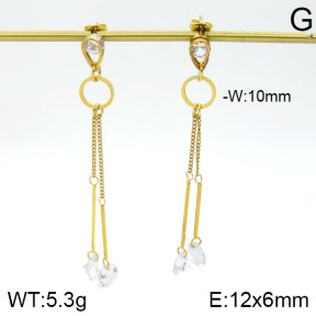 Stainless Steel Earrings  2E4000924bbov-712