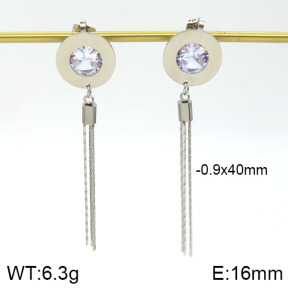 Stainless Steel Earrings  2E4000930vbnb-712