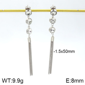 Stainless Steel Earrings  2E4000933vbnb-712