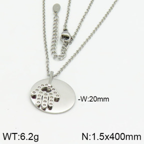 Stainless Steel Necklace  2N4000521bhva-706