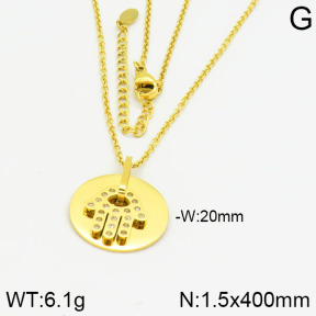 Stainless Steel Necklace  2N4000523bhia-706