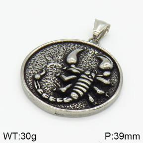 Stainless Steel Pendant  2P2000435vbpb-243