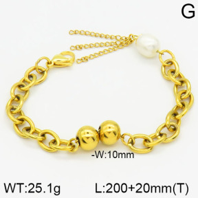 Stainless Steel Bracelet  2B3000621bhia-474