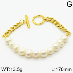 Stainless Steel Bracelet  2B3000625ahjb-474