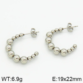 Stainless Steel Earrings  2E2000715bhva-226