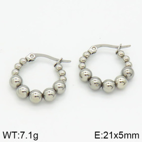 Stainless Steel Earrings  2E2000716bhva-226