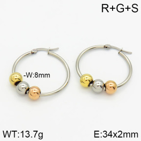 Stainless Steel Earrings  2E2000717avja-319