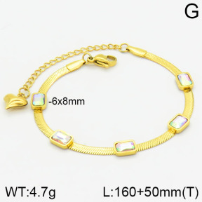 Stainless Steel Bracelet  2B4000986vhha-662