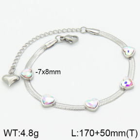 Stainless Steel Bracelet  2B4000988bhva-662