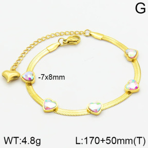 Stainless Steel Bracelet  2B4000989vhha-662