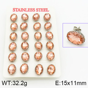 Stainless Steel Earrings  2E4000943vhov-666