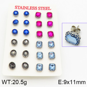 Stainless Steel Earrings  2E4000947vhov-666