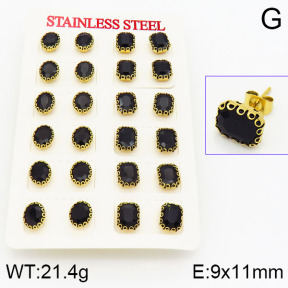 Stainless Steel Earrings  2E4000948bika-666