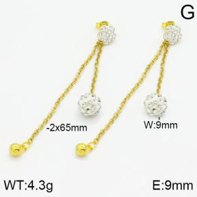 Stainless Steel Earrings  2E4000958baka-698