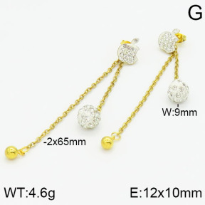 Stainless Steel Earrings  2E4000959baka-698