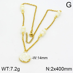 Stainless Steel Necklace  2N4000528bhva-666