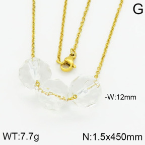 Stainless Steel Necklace  2N4000540baka-698
