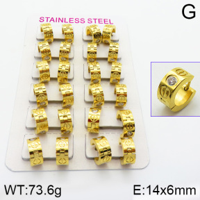 SS Earrings  TE2000156bnib-387